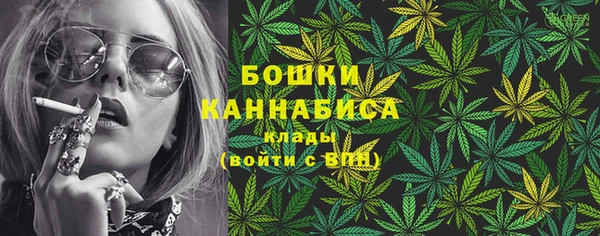 дживик Арсеньев