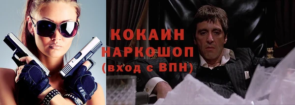 дживик Арсеньев