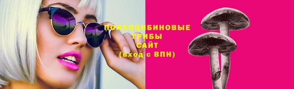ПСИЛОЦИБИНОВЫЕ ГРИБЫ Братск