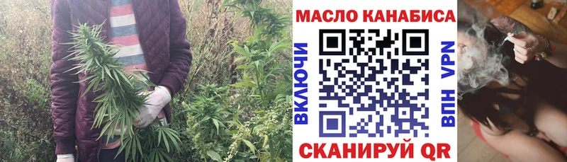магазин    мега   ТГК Wax  Белозерск 